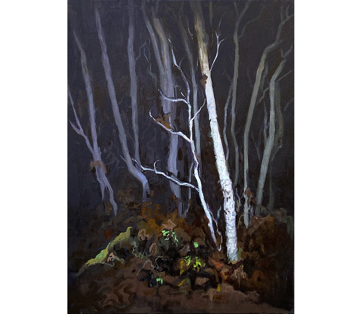 "Shot in the Dark" - Jonathan Happ
